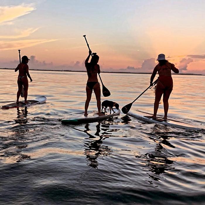 ON THE BEACH SURFERS SUNRISE HAVEN 3