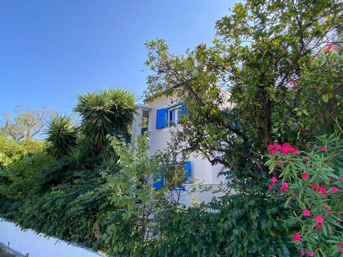 Fionas House Apartments