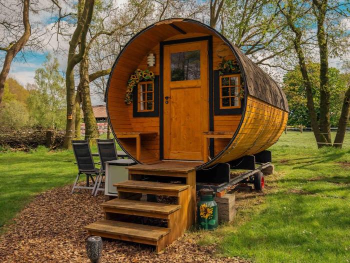 Kuhle Auszeit - Fass Sonnenblume