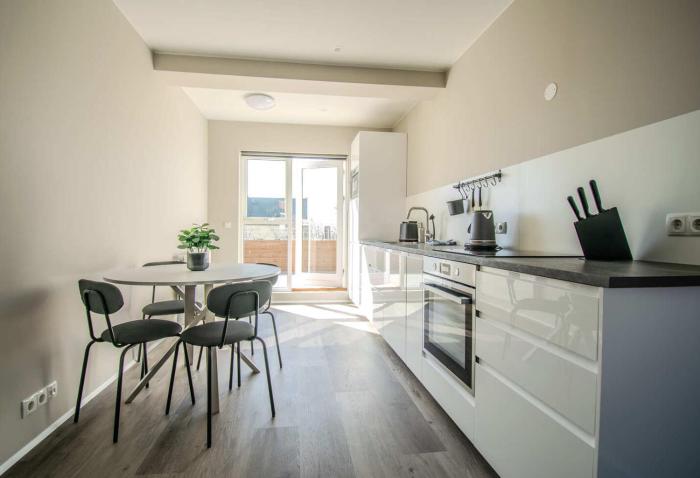 Freyjugata Apartments by Heimaleiga