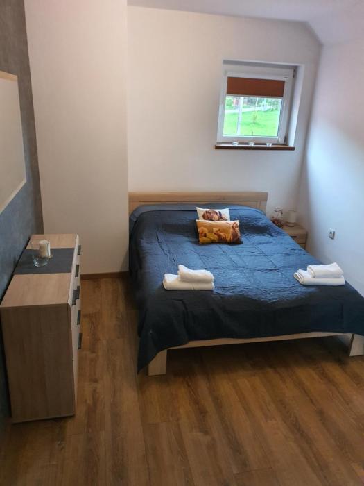 Apartament pod lasem