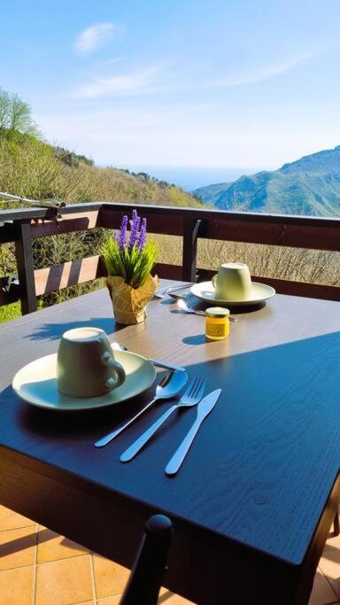 Bee Freeride Biker house