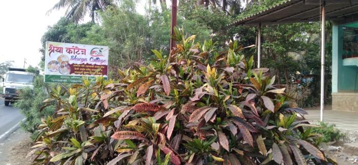 Shreya Cottage, Vaishet-Alibag