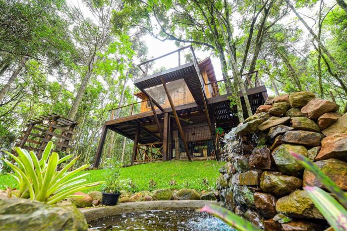 Casa na Árvore em Gramado