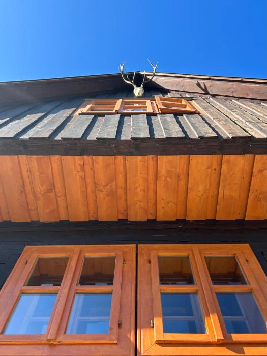 Traditional deer Cabin with Sauna - Chata Srňacie