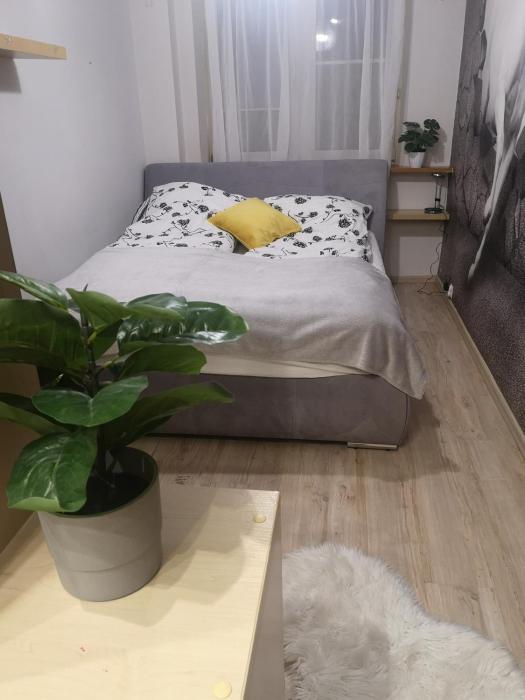 Apartament Morena