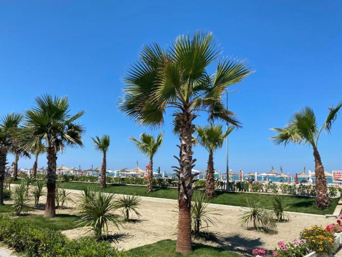 Ferienwohnung Golem - Villa Ana 2