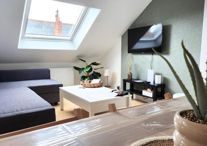 Top Central Tours - Vue Basilique Saint Martin