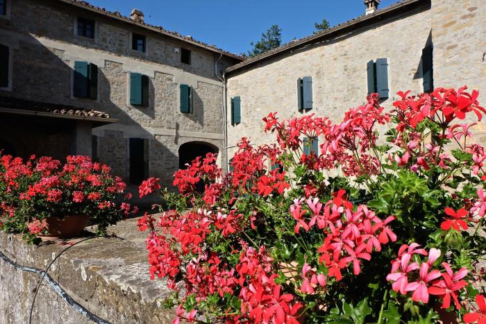 B&B Cortebonomini apartment