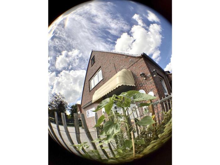 Dandelion Modern retreat