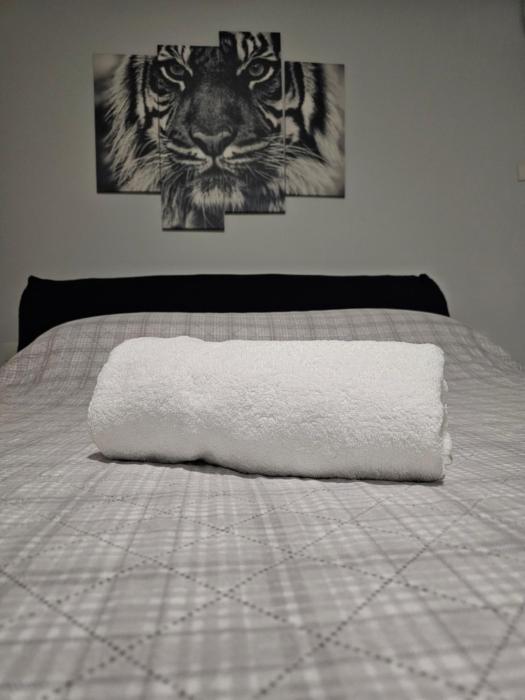 Claudios Home Airport