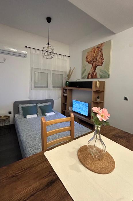 Bulevar apartment No1