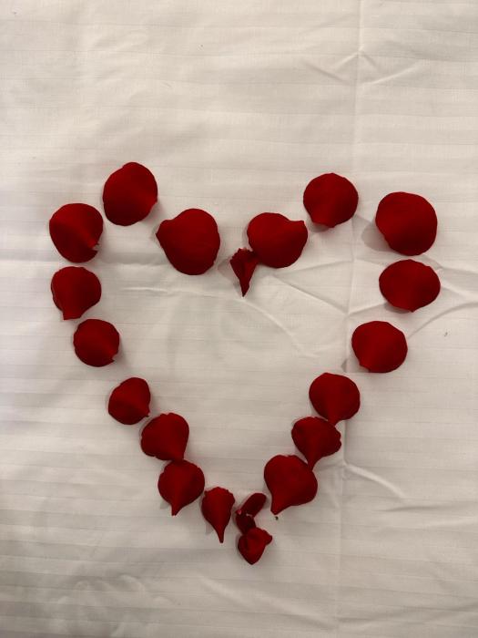 Elysium Old Square, Free street parking within the limits of available spaces and paid parking one minute away, Smart TV