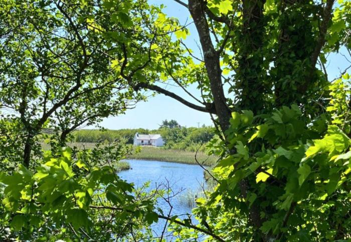 River Cottage, Clifden