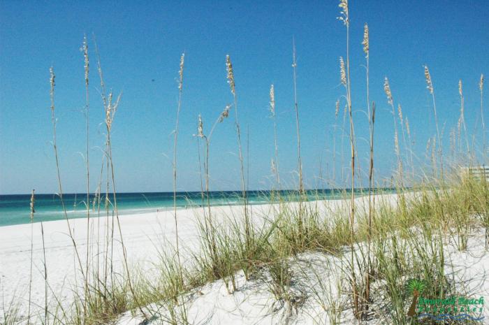 Top Of The Gulf 625 Beach Perfect