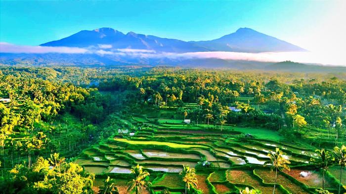 Ariel Bungalow Tetebatu