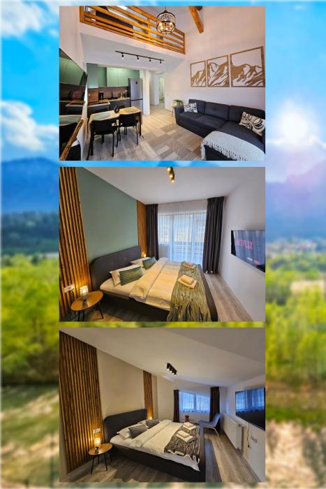 Magic Mountain View Busteni