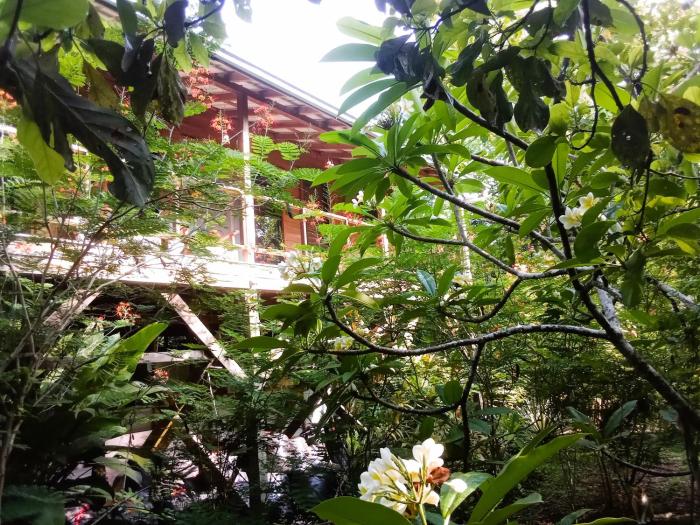 Tree Top Tropical Oasis in San Ignacio, Belize - Your Home Away from Home