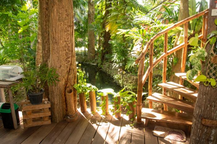 Dumaguete Oasis Treehouse, near airport and mall, beside Magsaysay Elementary School