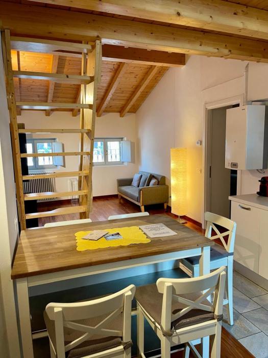 CALICANTUS Apartments ATENA