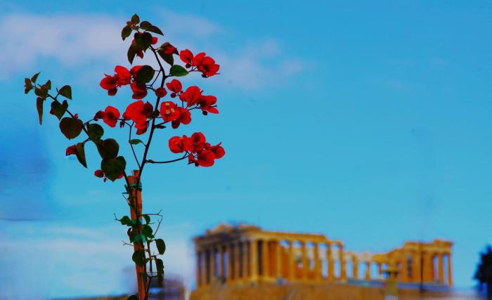 Absolute Athens Acropolis View