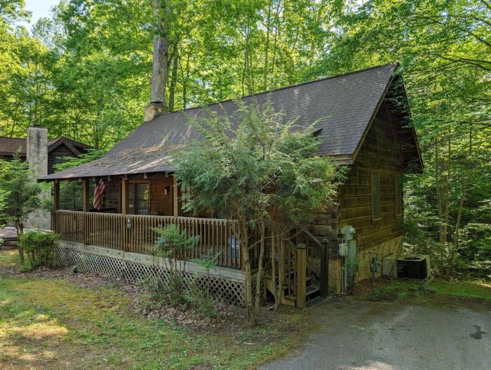 ER57 - Bear Haven - Great location! Close tothe action! cabin