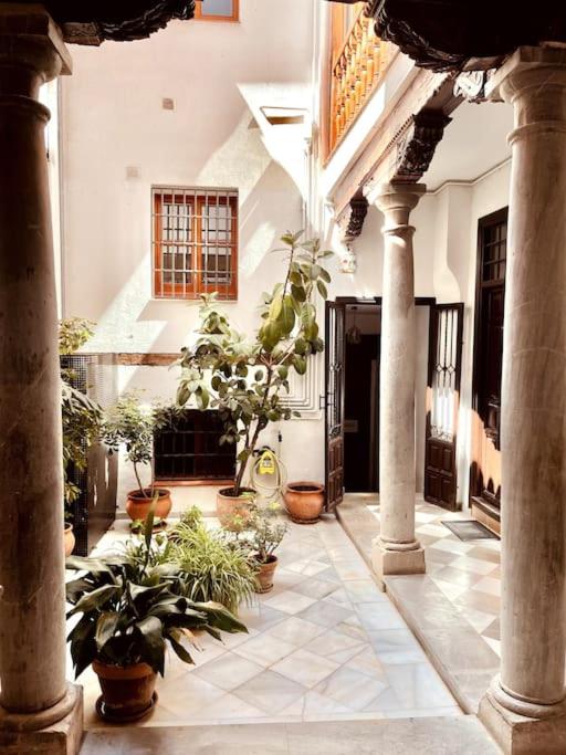 Charming Spacious Albayzin Apartment