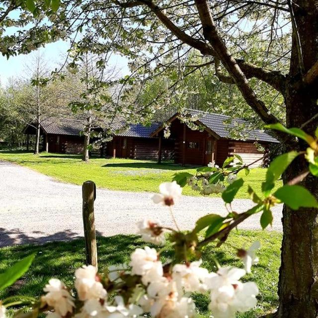 Vakantiepark Zwartemeer