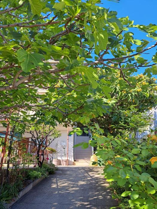 Apartman Adriatic Pavlinovic - Makarska