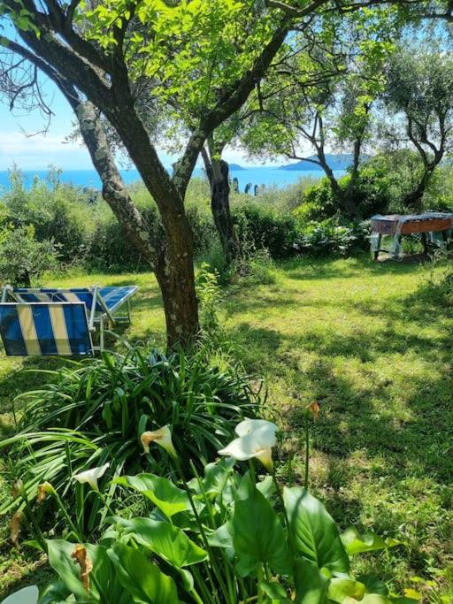 Pattys Cottage with private PARKING