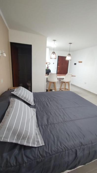 Monoambiente céntrico