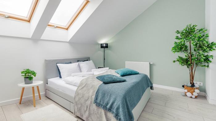 Baltic Nova, Sun & Snow