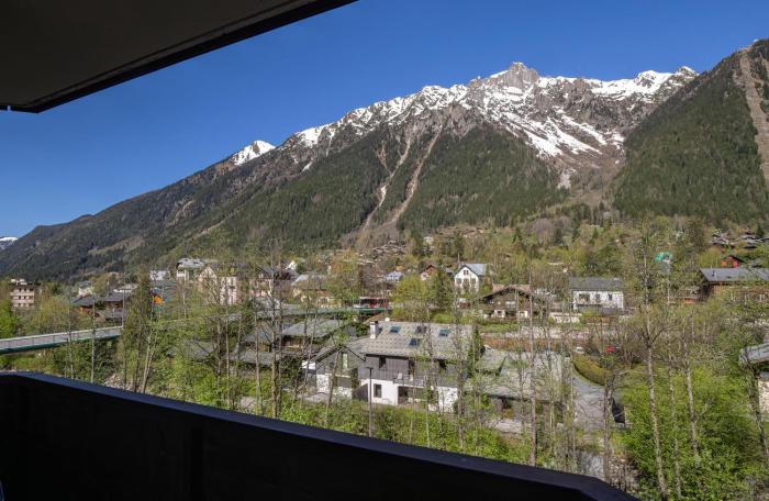 Apartment Grepon 3A - A Central Chamonix Haven
