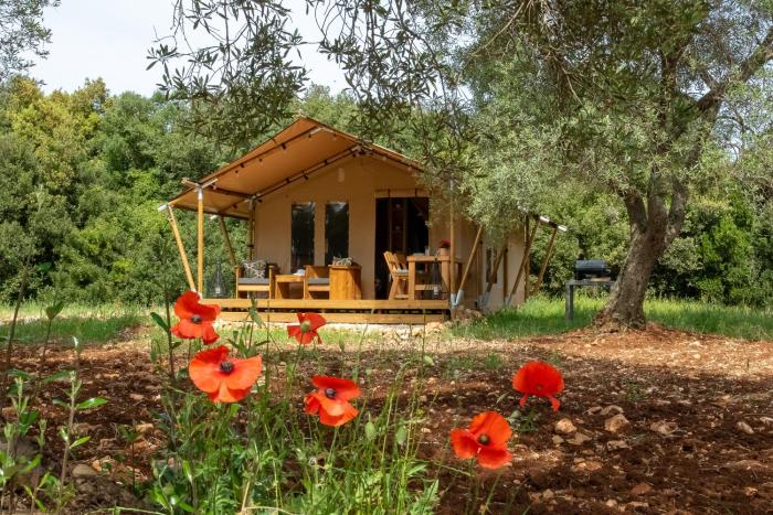 Domus Olea Glamping
