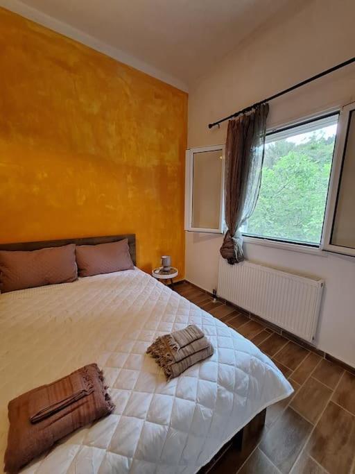 Teachers House