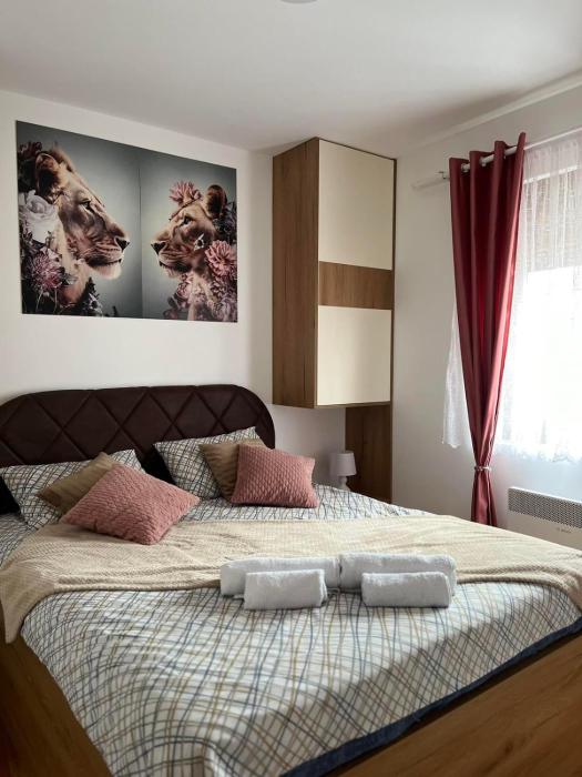 Apartman Akiluz & SPA Zlatibor