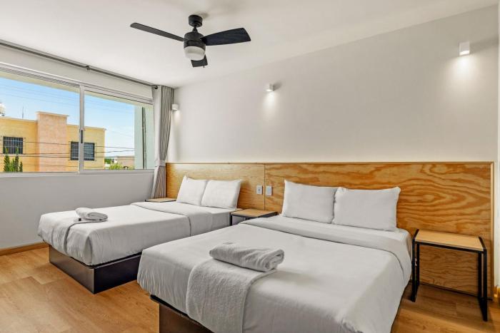 Musgo by Homi Rent