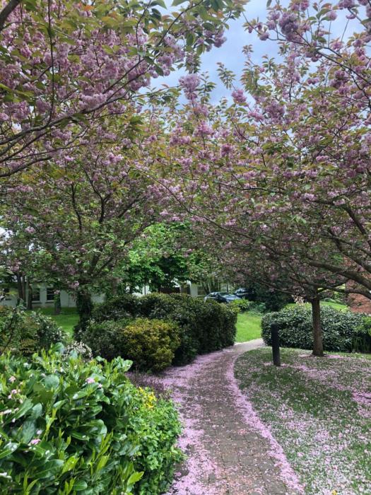 Marlay & Mountain Retreat