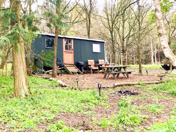 North Norfolk Glamping