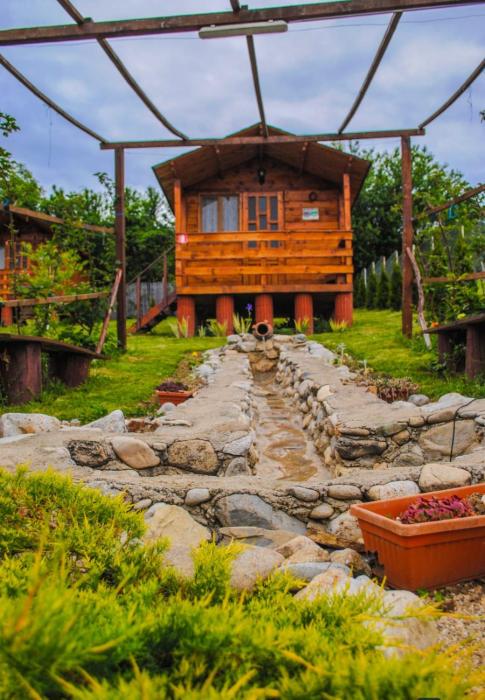 Căsuțele dintre vii