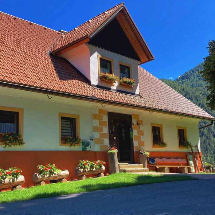 Tourist farm Gradišnik