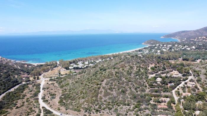 Almond House Best Vacation Ever