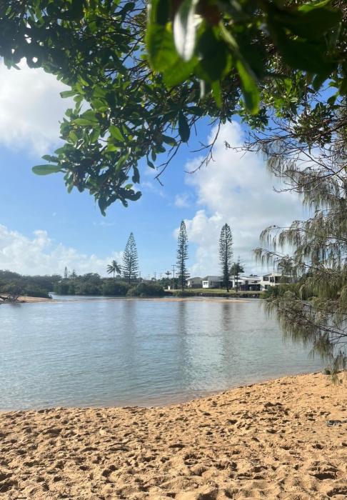 Puppies&Pancakes at Innes Park Opp Park&Beach Dogs welcome inside