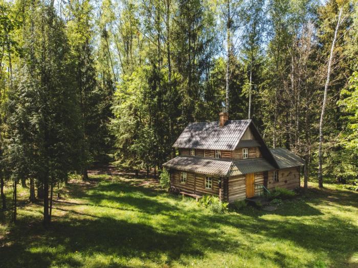 Chatka w lesie