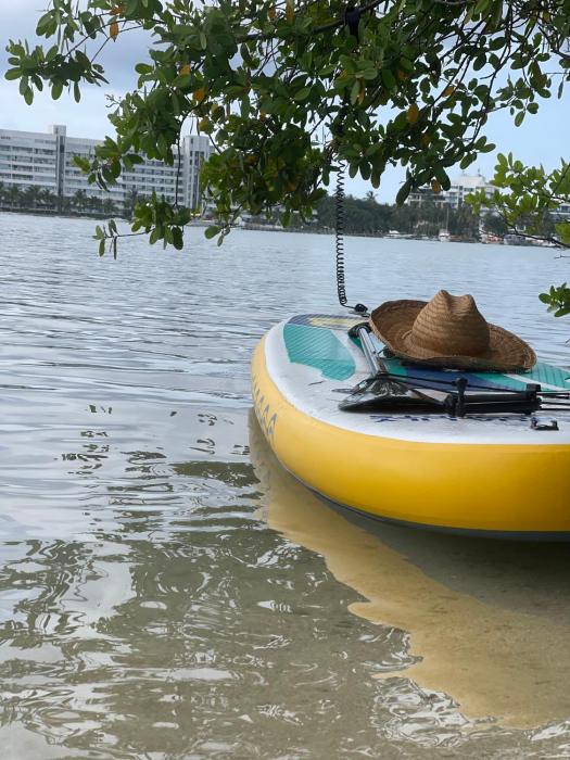 Apartamentos Miss Vera 1