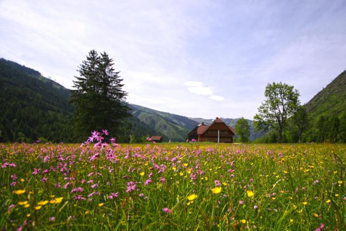 Schaffergut Appartements