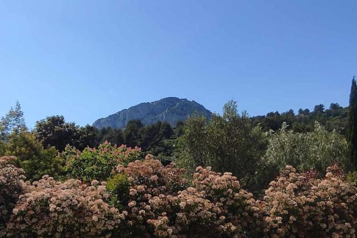 Charmant T2 lumineux