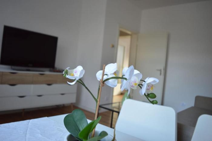 Rüttenscheid, Messe, Uni, Central Station