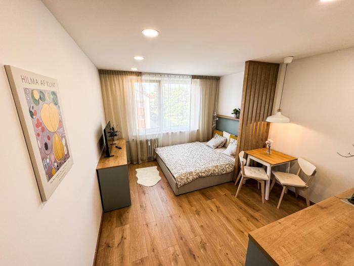 Studio Apartment Trenčín