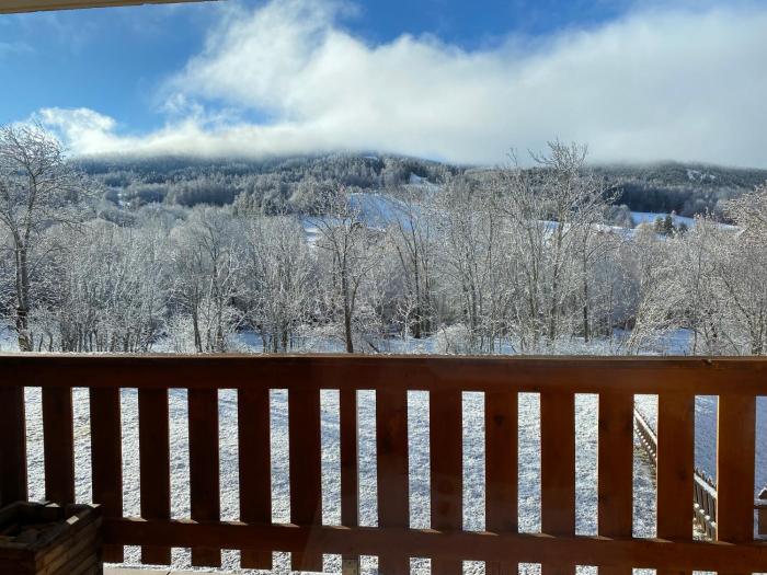 Grand appartement Ancelle